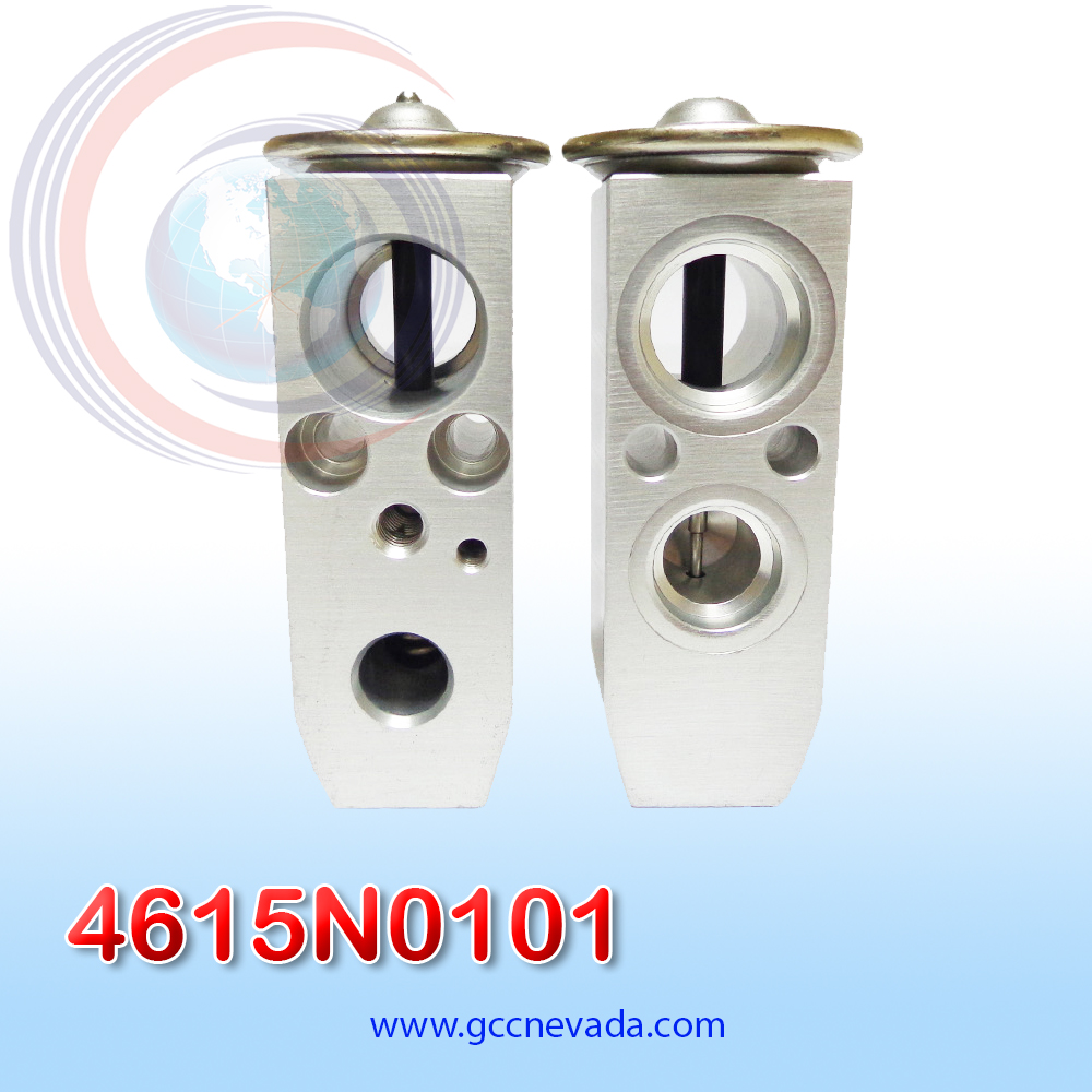 VALVULA NISSAN MURANO AÑO 03/07 EXP/BLOCK NEVADA ASIA