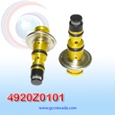 VALVULA DE CONTROL DESPLAZ/VARIABLE VW / SKODA / SAAB / LAND ROVER / OPEL / DENSO 7SB16C / 6C17 / 6CA17C 58MM NEVADA ASIA