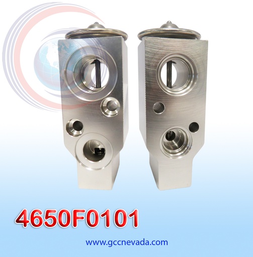 [4650F0101] VALVULA INTERNACIONAL NAVISTAR / PROSTAR / WORKSTAR / TERRASTAR 2019 EXP/BLOCK NEVADA ASIA