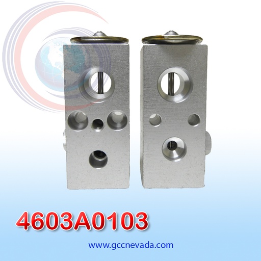 [4603A0103] VALVULA CHRYSLER NEON AÑO 03/04 EXP/BLOCK NEVADA ASIA                                                                   